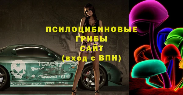 ПСИЛОЦИБИНОВЫЕ ГРИБЫ Артём