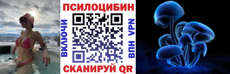 цены   Чудово  Псилоцибиновые грибы Cubensis 