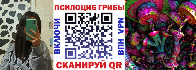 Псилоцибиновые грибы мицелий Чудово