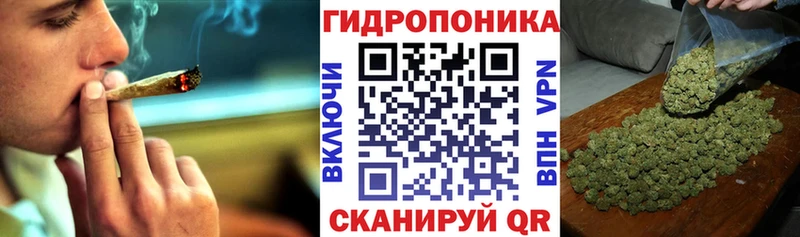 Каннабис индика  Чудово 